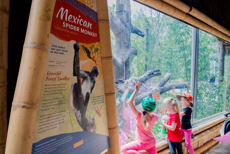 Nashville-Zoo.have-you-seen-these-big-visual-group-signs-around-nashville blog image 2